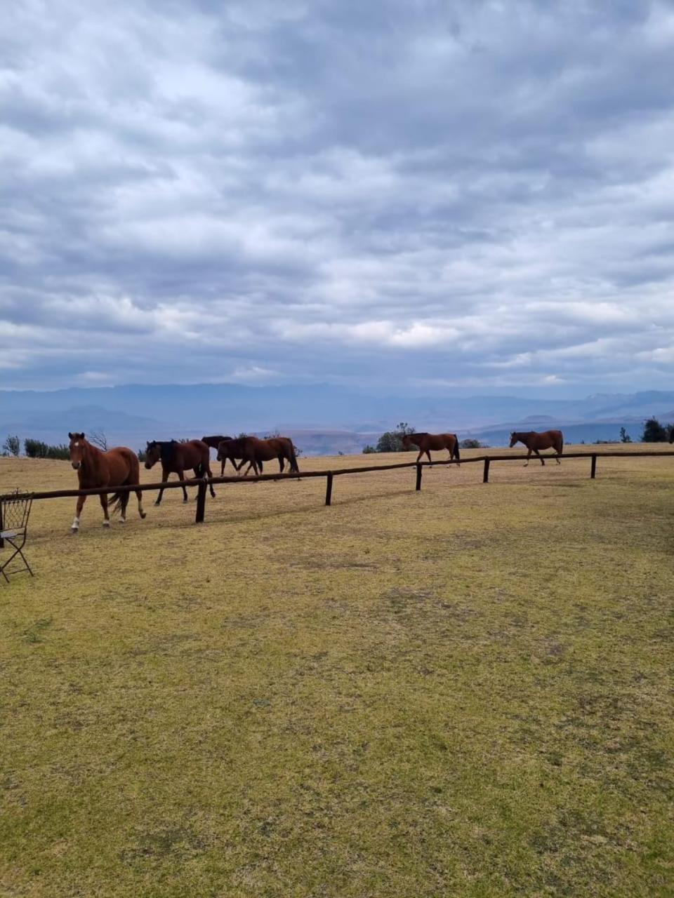 منزل الضيف بيرغفيل  في Drakensberg Mountain Retreat المظهر الخارجي الصورة